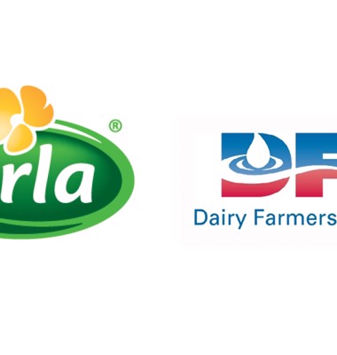 New cheddar cheese joint venture with Dairy Farmers of America