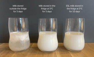 Milk outside vs inside the fridge for 5 days_ESL milk 10 days in fridge