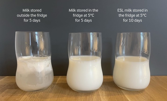 How we extend the shelf-life of milk while ensuring its safe and fresh