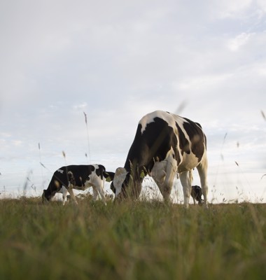 Arla Farmers deliver more transparency and stronger climate actions