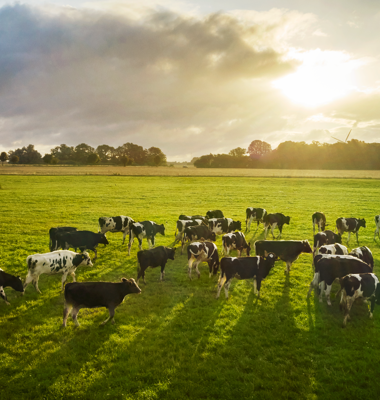 Arla Foods launches new customer programme and accelerates on-farm sustainability efforts