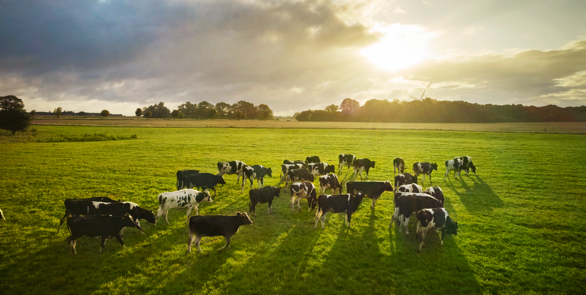 Arla Foods launches new customer programme and accelerates on-farm sustainability efforts