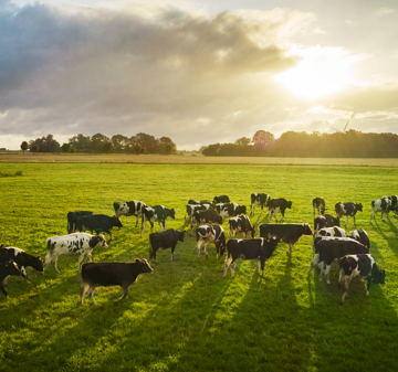 Arla Foods launches new customer programme and accelerates on-farm sustainability efforts