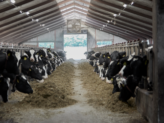 Board of Representatives approves highest-ever supplementary payment of EUR 292 million