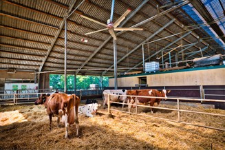 Open barn system