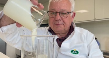What is lactic acid fermentation and how does it work?