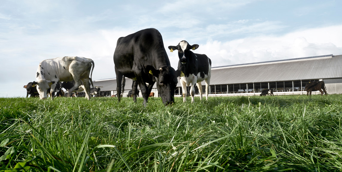 New partnership between Arla and Danish customers to accelerate climate reductions and protection of biodiversity