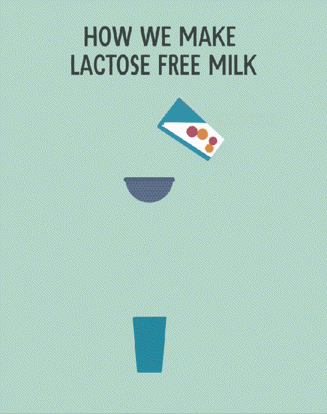 What is lactose free milk and how does it work?