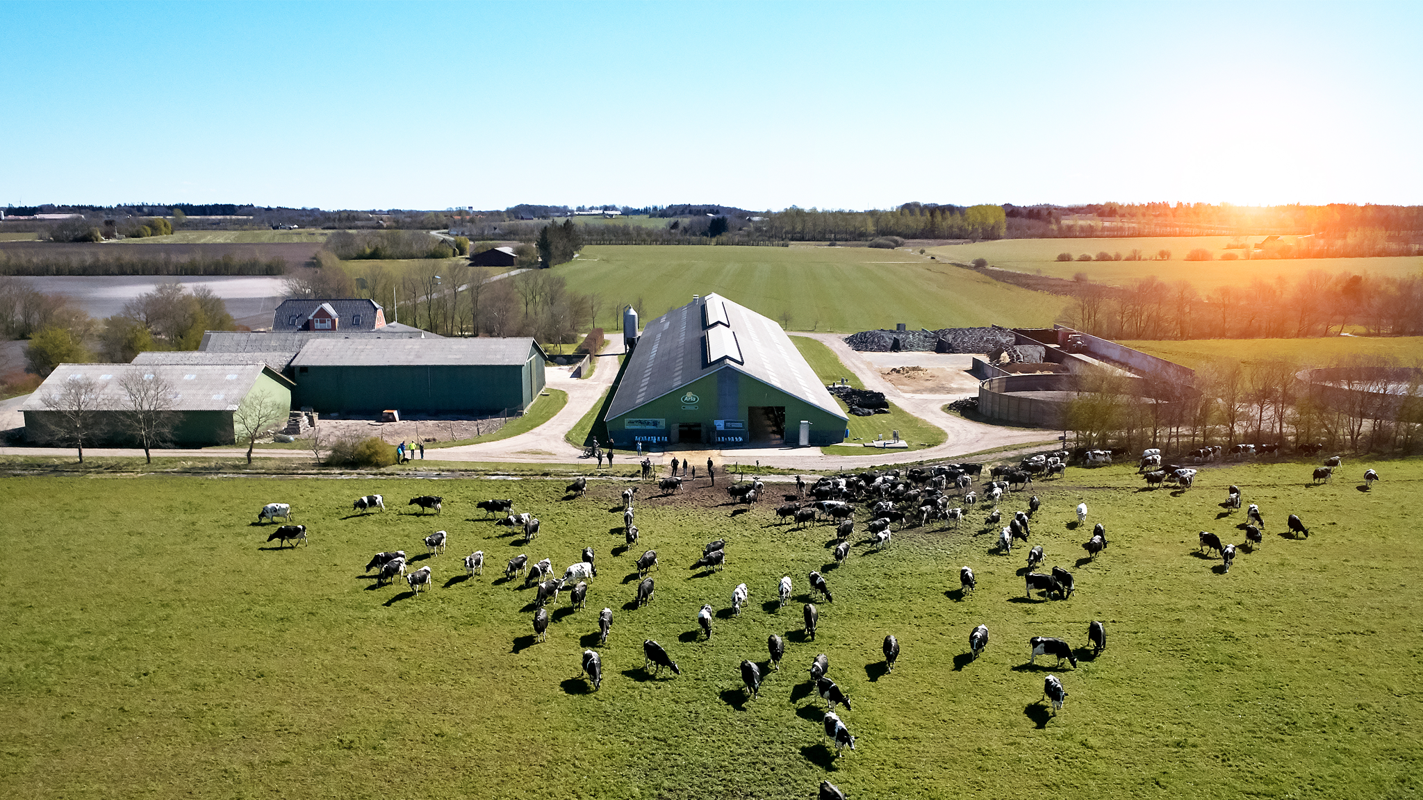 Can milk be carbon neutral?