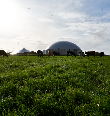 Arla’s bonds are going green
