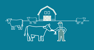 Arla farmers produce feed locally
