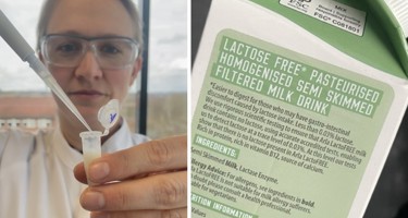 Why is lactose free milk sweeter than regular milk… and what do enzymes have to do with it?