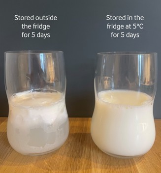 Milk outside vs inside the fridge for 5 days