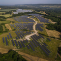 Buzzing news: Arla Foods now uses 100 per cent renewable electricity across European sites
