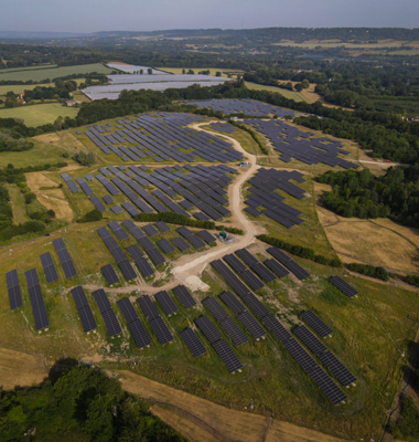 Buzzing news: Arla Foods now uses 100 per cent renewable electricity across European sites