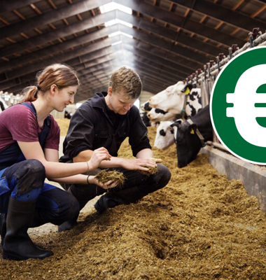 Arla Farmers are now paid a Sustainability Incentive as part of their monthly milk price payment.