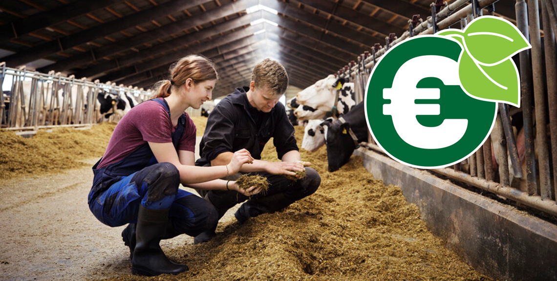 Arla Farmers are now paid a Sustainability Incentive as part of their monthly milk price payment.