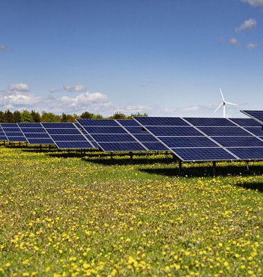 New solar park project set to cover about a third of Arla Foods’ electricity consumption in Denmark