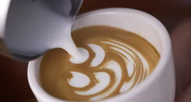Der perfekte Milchschaum für Latte Art