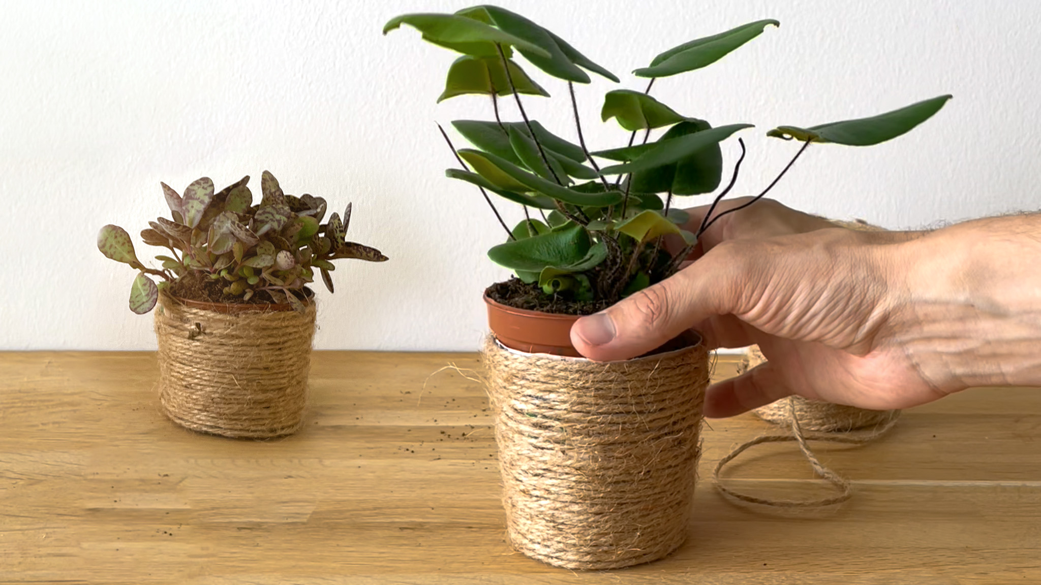 artikel_image_2048x1152_blumentopf_step05