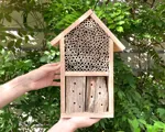 Mit Lobby für die Natur: dein eigenes Insektenhotel.