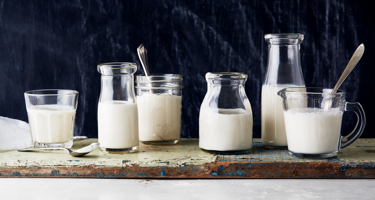 Casein Protein