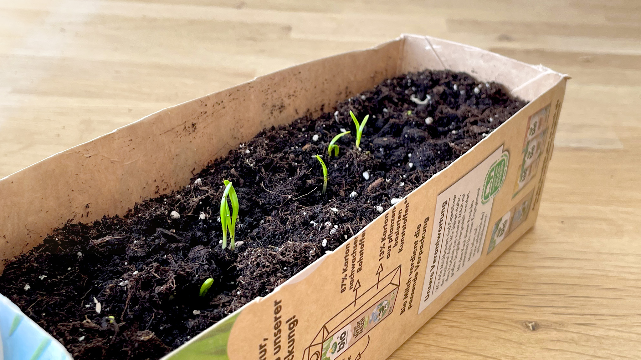 artikel_image_2048x1152_gewaechshaus_step07