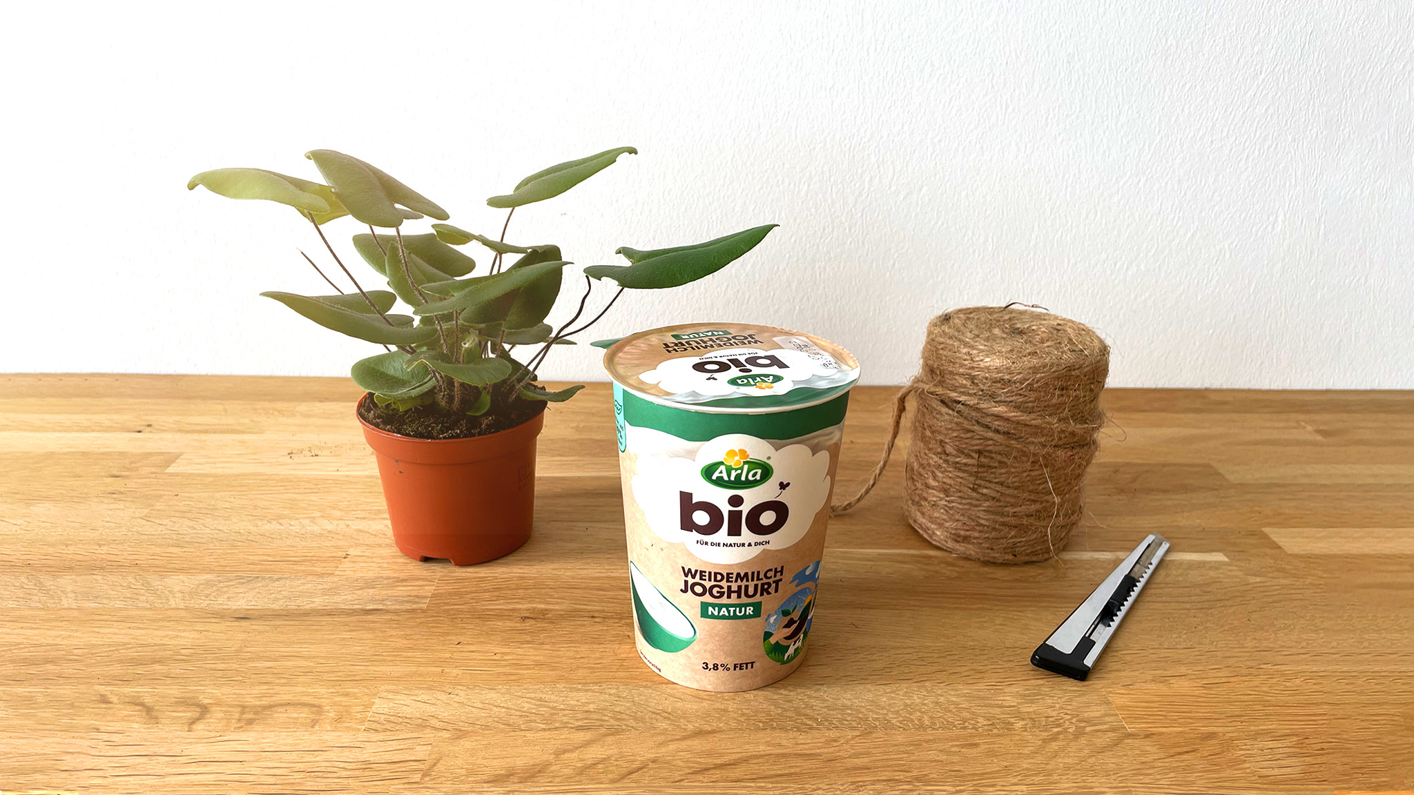 artikel_image_2048x1152_blumentopf_step01