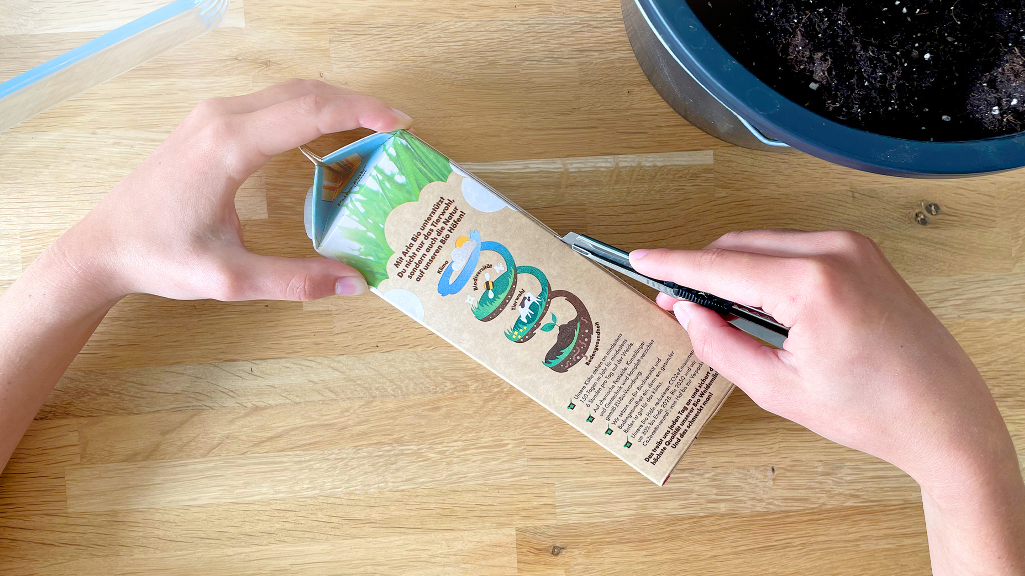 artikel_image_2048x1152_gewaechshaus_step02