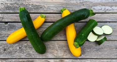 Squash