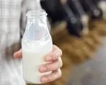 Hvordan laver man mælk?
