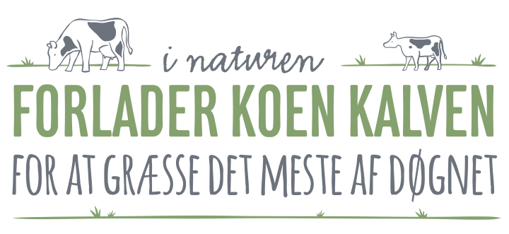 i_naturen_forlader_koen_for_at_graesse.png