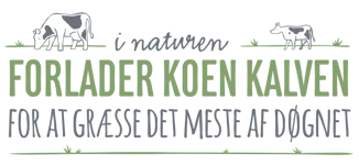 i_naturen_forlader_koen_for_at_graesse.png