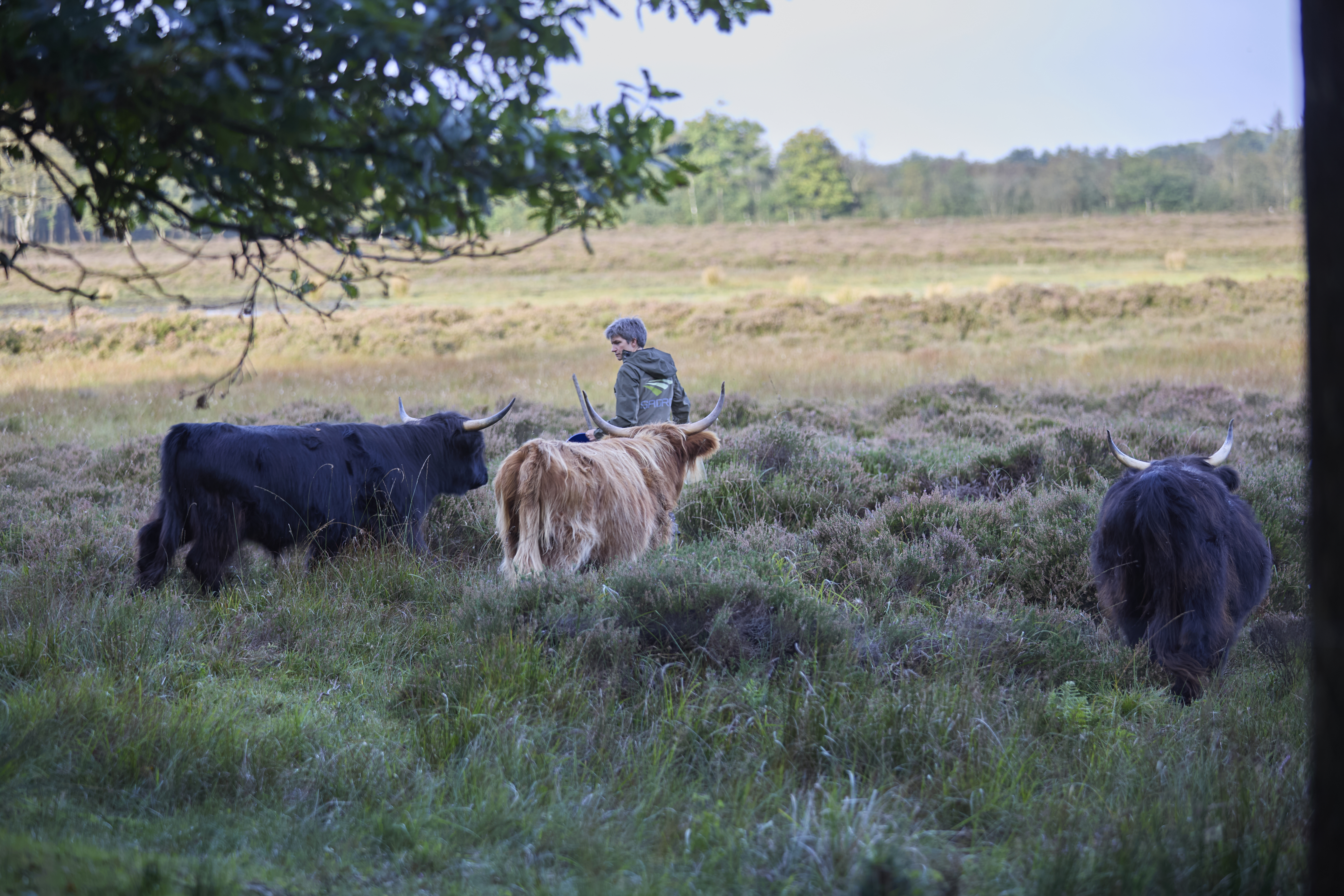 Stort Arla-projekt skudt i gang i Pølmosen