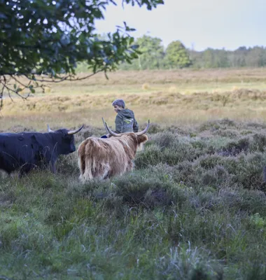Stort Arla-projekt skudt i gang i Pølmosen