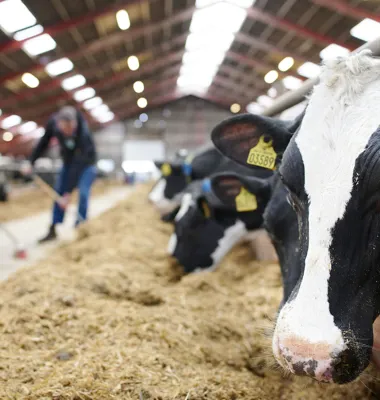 Arla udbetaler 207 millioner euro til ejere efter godkendelse af forslag