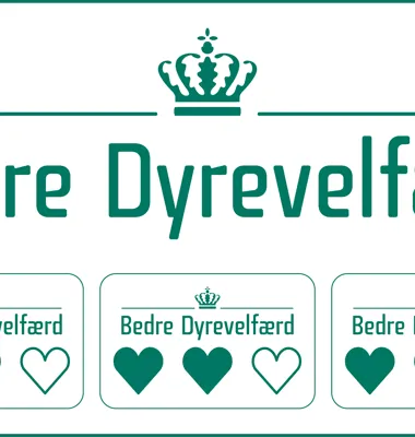 Ny mærkning gør det lettere at vælge mælk med høj dyrevelfærd