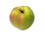 Fillippa æble