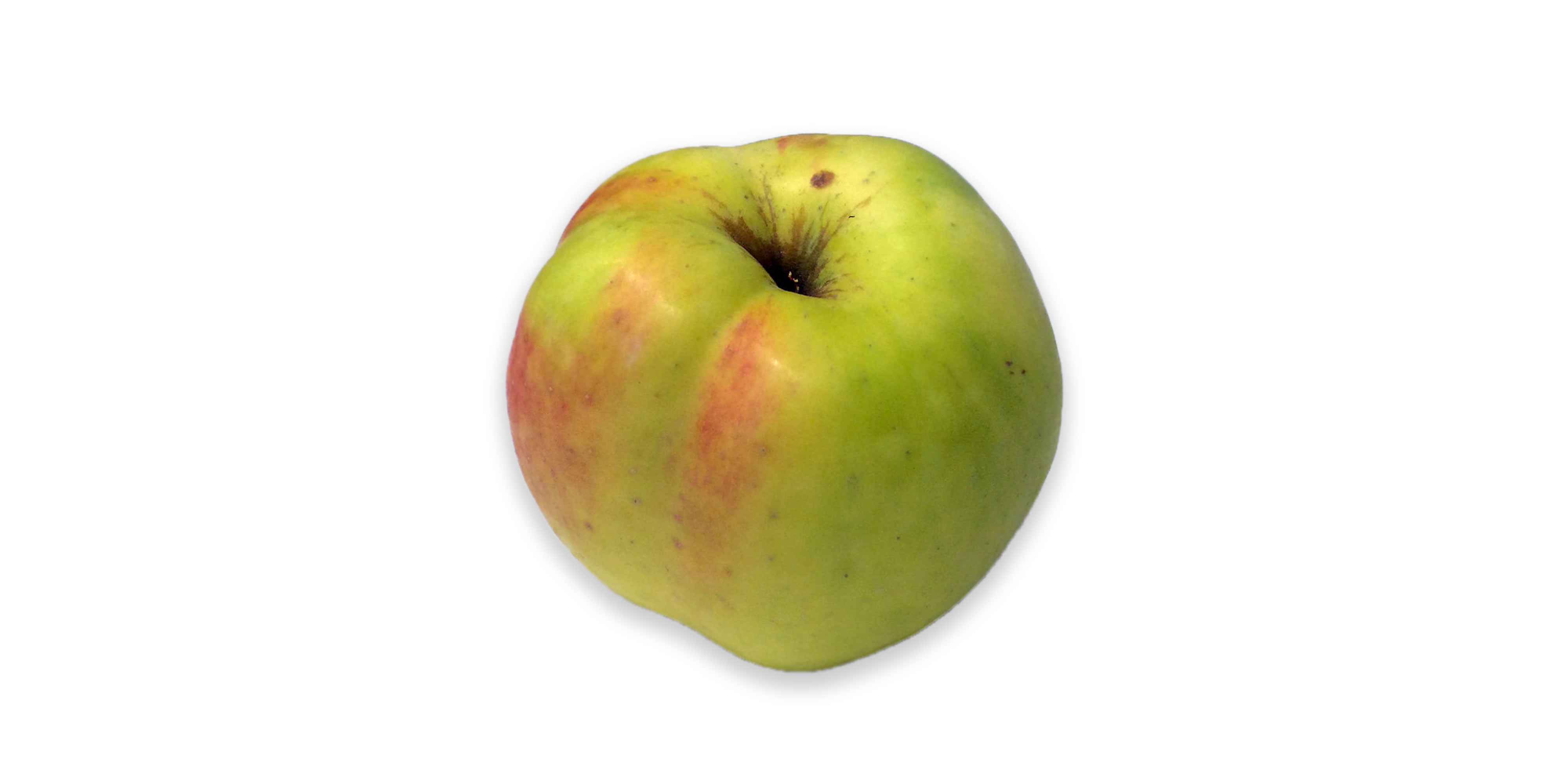 Fillippa æble