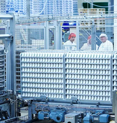 Opkøb i Mellemøsten styrker effektiviteten i Arla Foods' Supply Chain