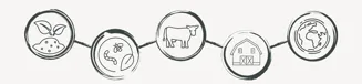 Regenerative metoder