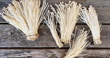 Enoki