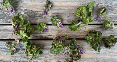 Flower sprouts
