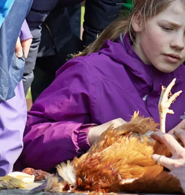Madlejrskoler skal skabe madbevidste børn