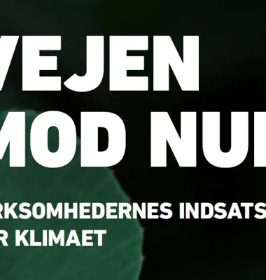 Arla og Global Compact Network Denmark: Store klimaambitioner kræver, at alle virksomheder er med