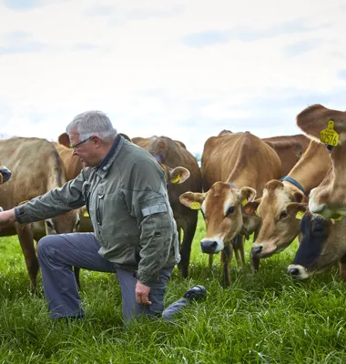 Arla slår dørene op: Besøg en vaskeægte bondegård