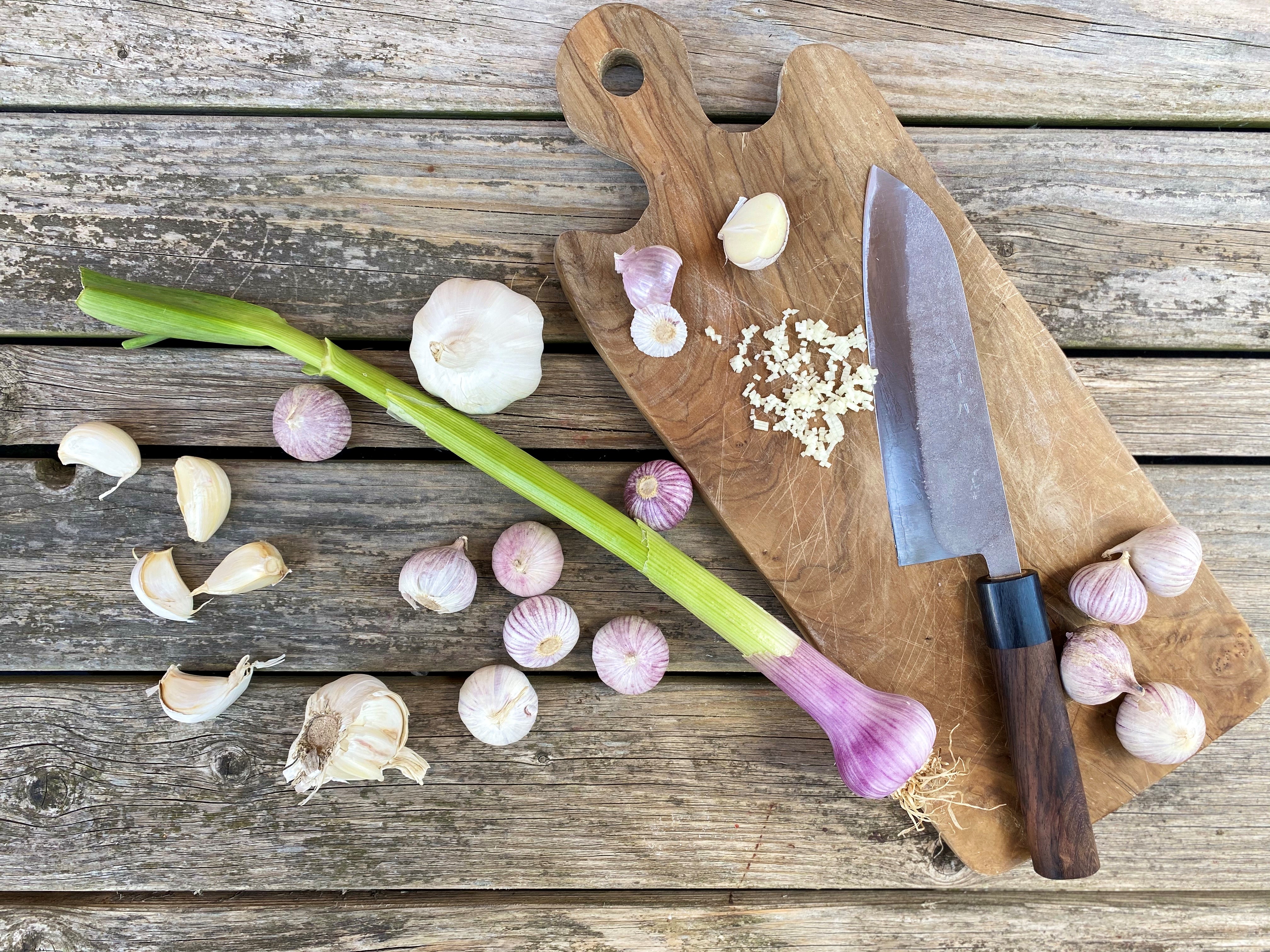 Hvidløg