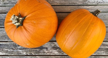 Halloween græskar