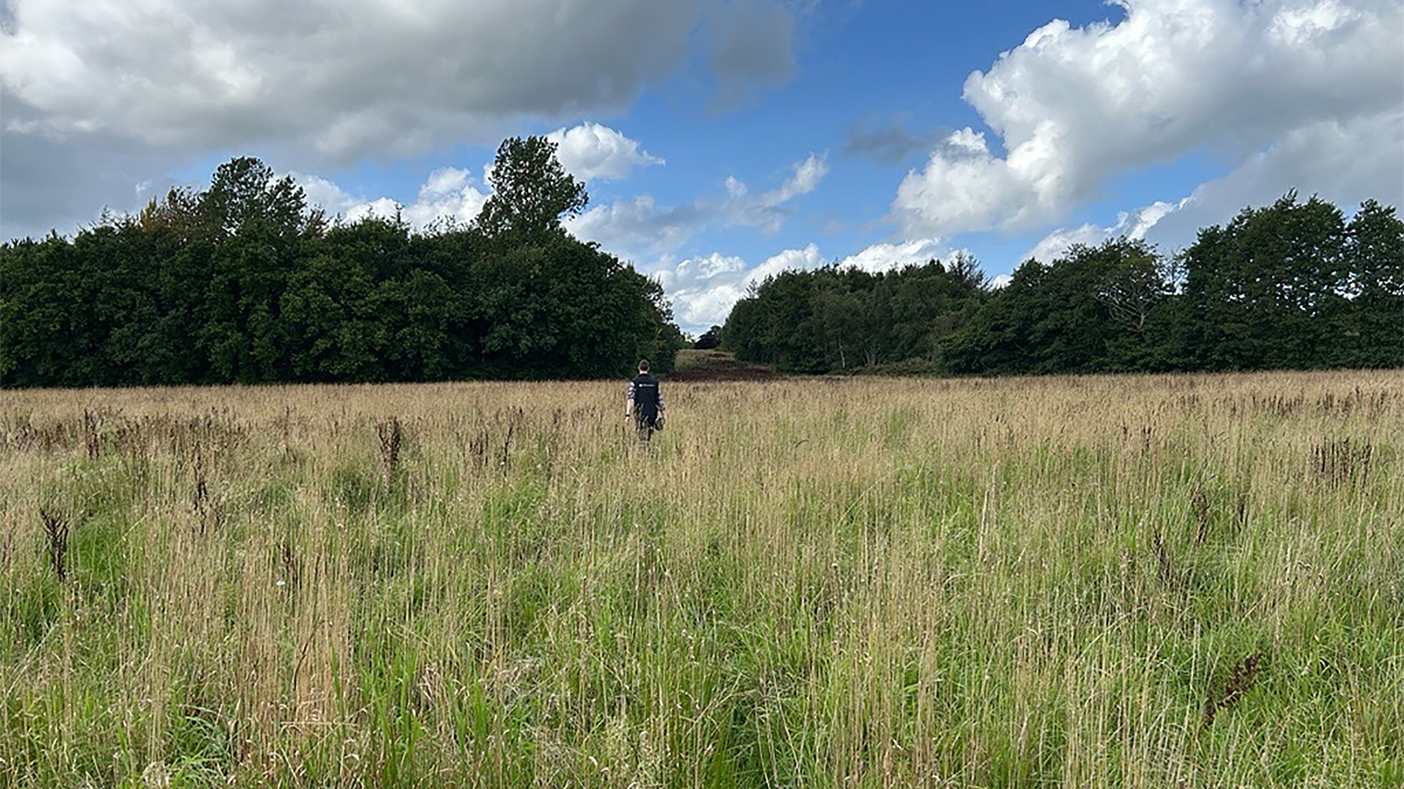 Arla og Lidl arbejder sammen om udtagning af lavbundsjorde 
