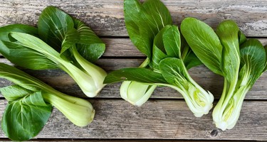 Pak choi